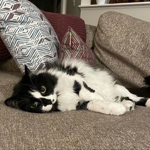 Meet your Posher, Kate